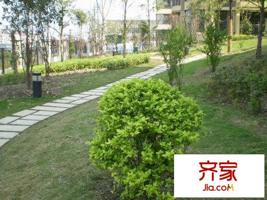 中尚橄欖樹花園外景圖