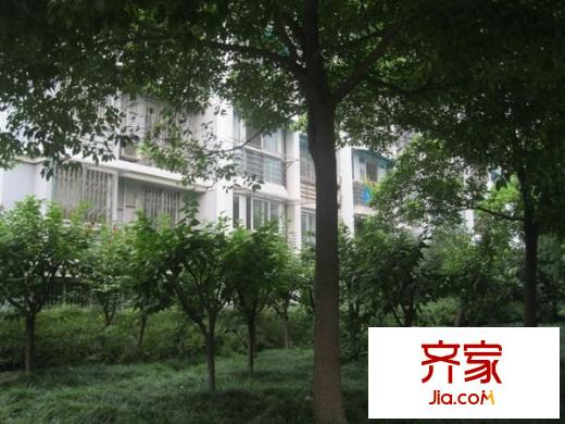 梅堰小區(qū)外景圖