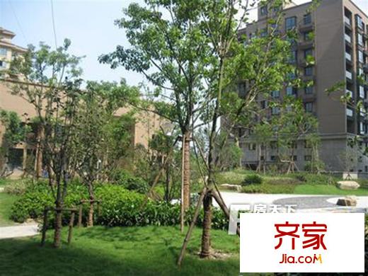 華藝星座外景圖 