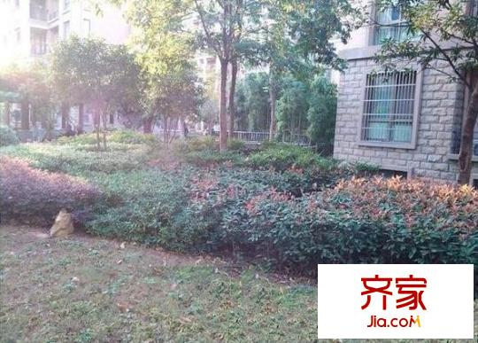 倉溢綠苑外景圖外景4