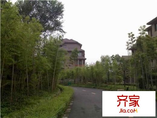 良渚文化村陽光天際外景圖