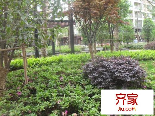 閑林山水紫薇苑外景圖 