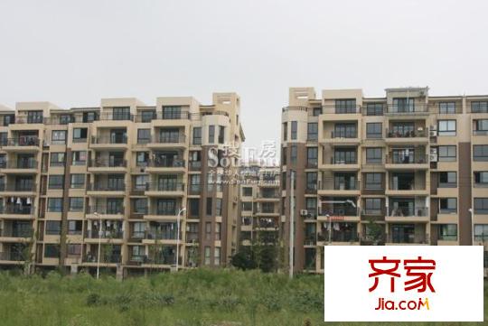 中尚橄欖樹花園外景圖