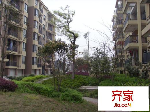 中尚橄欖樹花園外景圖中尚.橄欖樹花園 