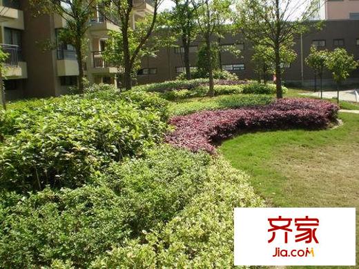中尚橄欖樹花園外景圖