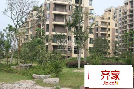 中尚橄欖樹花園外景圖