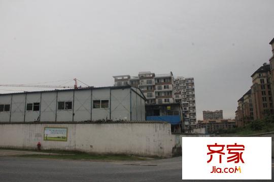 嘉和銀領時代一期（2015.03.23）