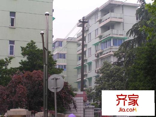采荷綠萍外景圖