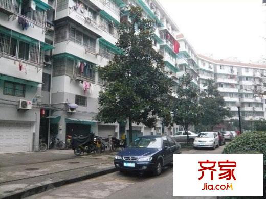 采荷綠萍外景圖