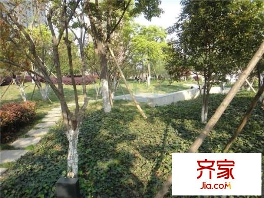 九月庭院外景圖
