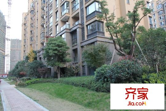 中海紫藤苑外景圖 