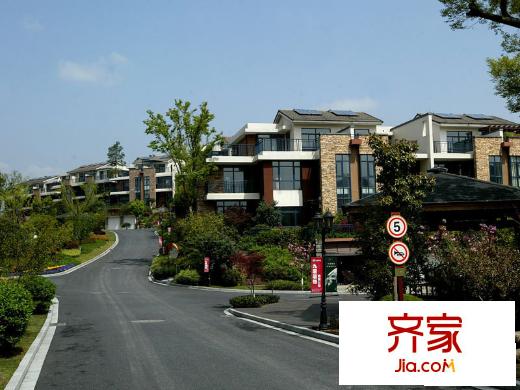 青山湖畔實景圖一期（2010.5）
