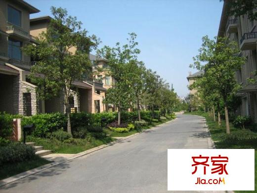 盛世嘉園別墅外景圖