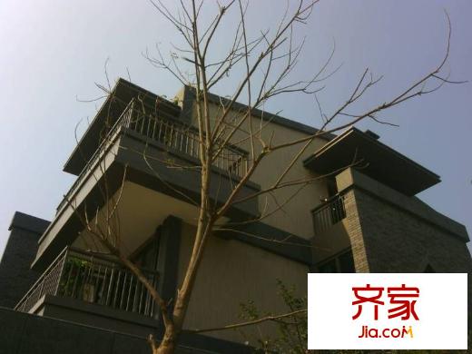 青楓墅園別墅外景圖 