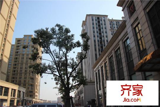 創(chuàng)美華彩國際