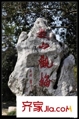 景麗華庭配套圖附近超山風(fēng)景區(qū)