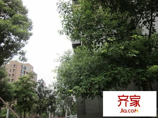 逸景花苑外景圖
