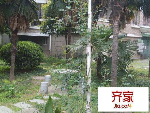 金箭公寓外景圖 