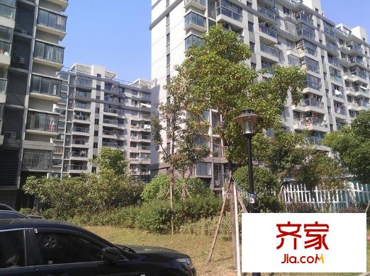 西溪北苑外景圖外景3