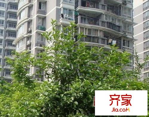 金橋花園外景圖 