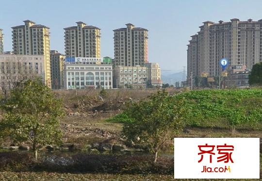 金岸提香外景圖中港 