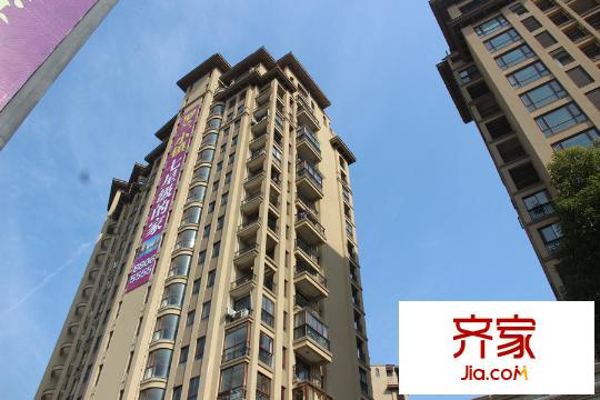 金岸提香實(shí)景圖（2015-3-10）