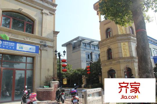金岸提香實(shí)景圖（2015-3-10）