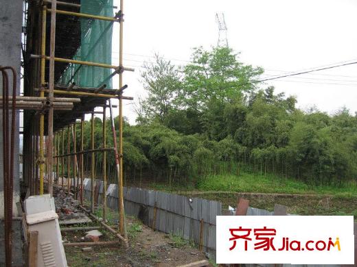 金岸提香配套圖緊鄰結(jié)頂排屋的竹林