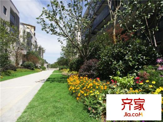 金都西花庭外景圖