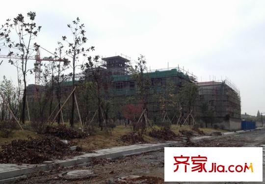 保利香檳國際配套圖大關(guān)小學益樂路校區(qū)