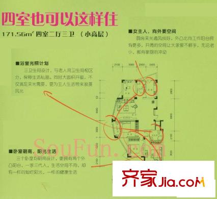 欣龍華府 戶型圖