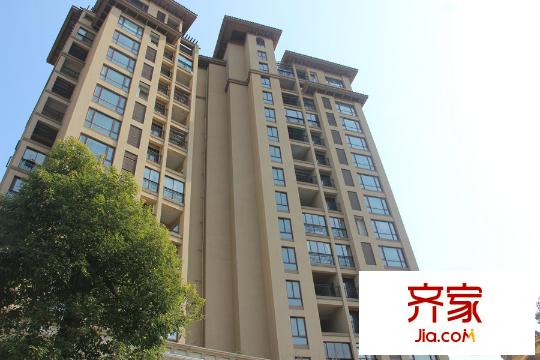 金岸提香實(shí)景圖（2015-3-10）