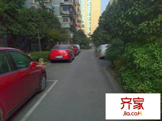 金岸提香外景圖 