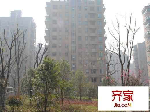 錦昌年華實景圖現(xiàn)場（2013-3）