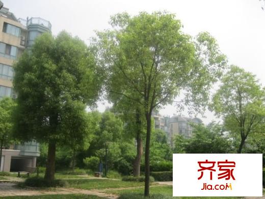 華城格之林花園外景圖