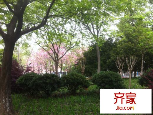 杭州遠(yuǎn)洋公館外景圖 