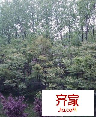 云溪印象外景圖 