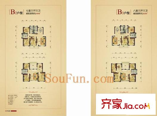 天都城天泉苑戶型圖B2和B3戶型 