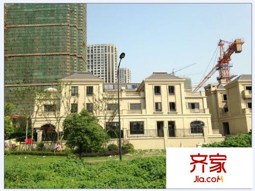 宋都東郡國際橄欖樹工程進(jìn)度（2014-1）