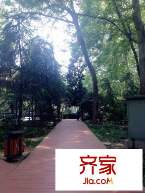 蓮花新村外景圖 