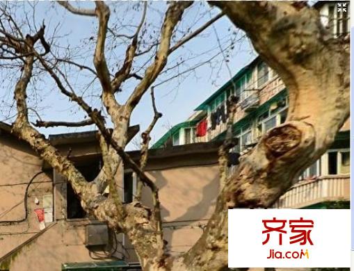 榮華里外景圖 