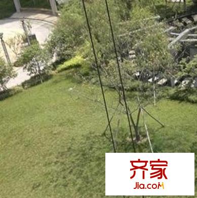 聯(lián)莊江濤閣外景圖