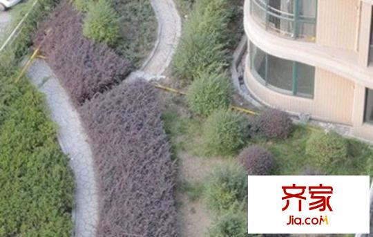 聯(lián)莊江濤閣外景圖