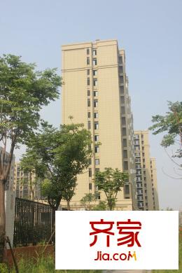 龍湖名景臺(tái)工程進(jìn)度（2015-8-19）