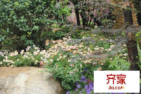 朗詩未來街區(qū)外景圖 