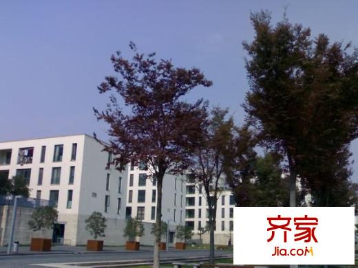 良渚文化村白鷺郡東外景圖