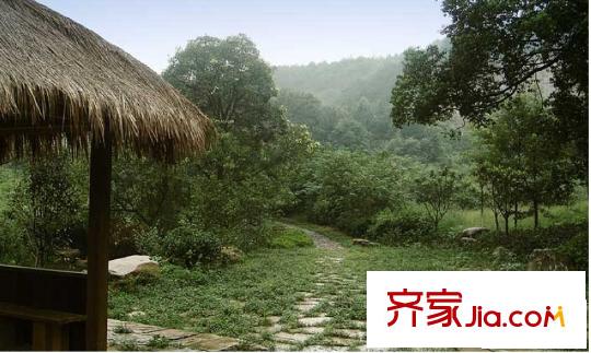 良渚文化村白鷺郡東配套圖竹徑茶語游山步道