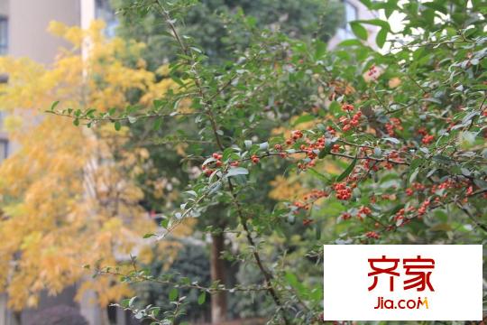 蘭韻天城外景圖南北 