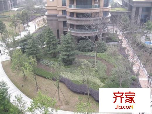 風(fēng)華苑外景圖綠城 