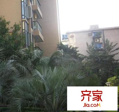 南肖埠御景苑外景圖